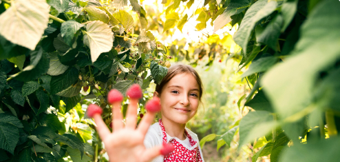 Campaign cover image for General Donations