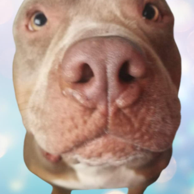 Ben Cruz avatar